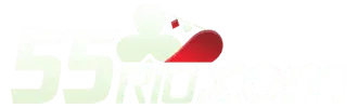 Logo da 55rio